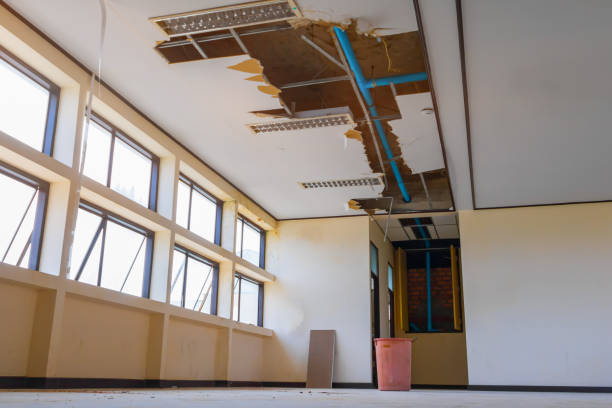 Reliable Kapaau, HI Water damage restoration Solutions