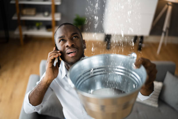 Best Water damage restoration near me  in Kapaau, HI