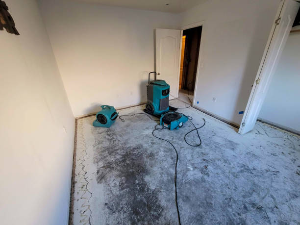 Best Ceiling water damage repair  in Kapaau, HI