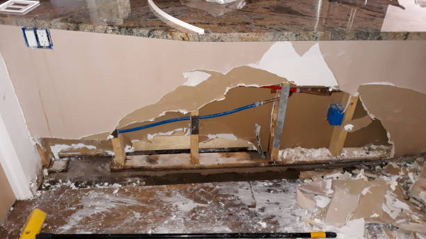 Best Mold removal after water damage  in Kapaau, HI
