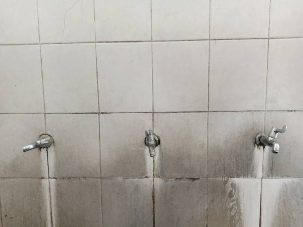 Best Water damage repair service  in Kapaau, HI