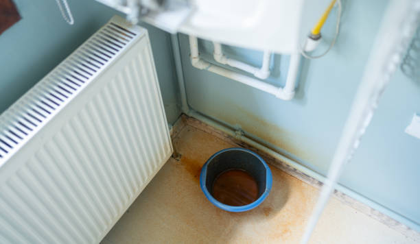 Best Local water damage restoration  in Kapaau, HI
