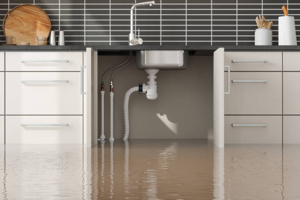 Best Water damage contractors near me  in Kapaau, HI