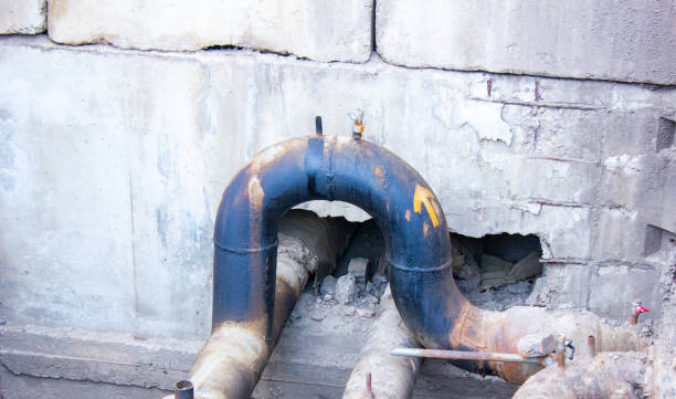 Best Water damage restoration company  in Kapaau, HI