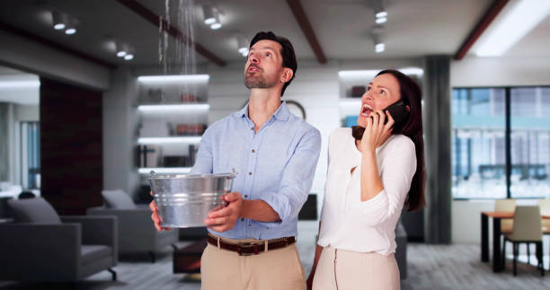 Best 24-hour water damage restoration  in Kapaau, HI