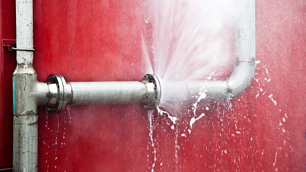 Best Carpet water damage restoration  in Kapaau, HI