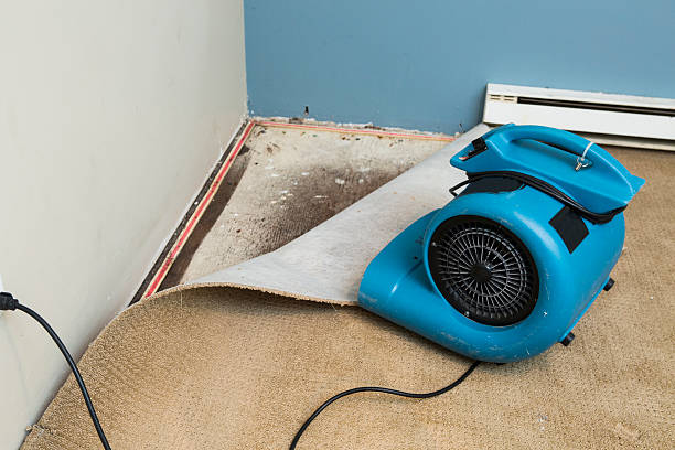Best Residential water damage restoration  in Kapaau, HI